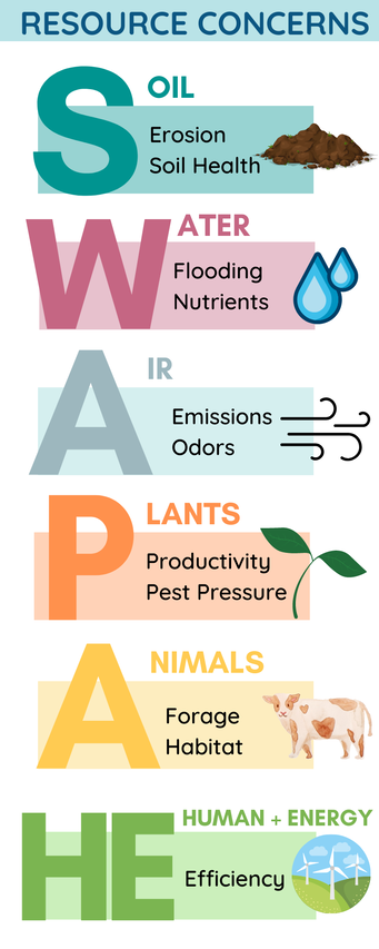 SWAPA Infographic with text